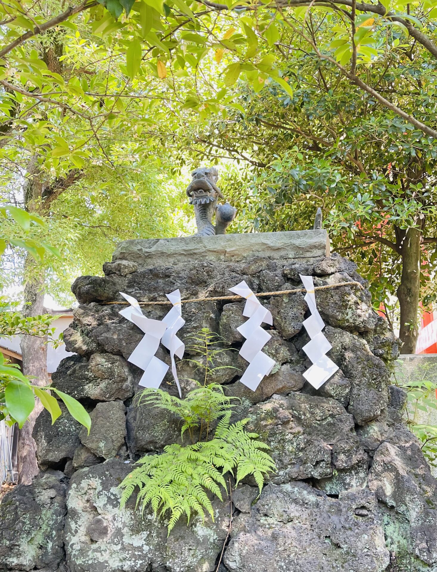 優しくて大きな龍がいる神社～田無神社～